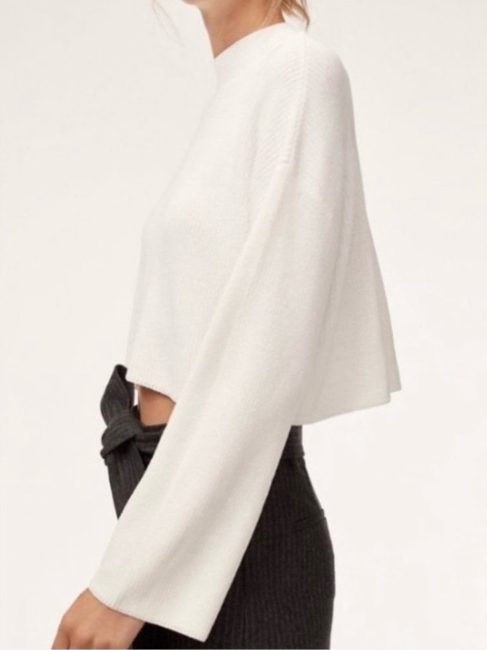 Wilfred XS Cropped Mock Neck Knit Sweater Top Cream Off White Beige Aritzia Ribb